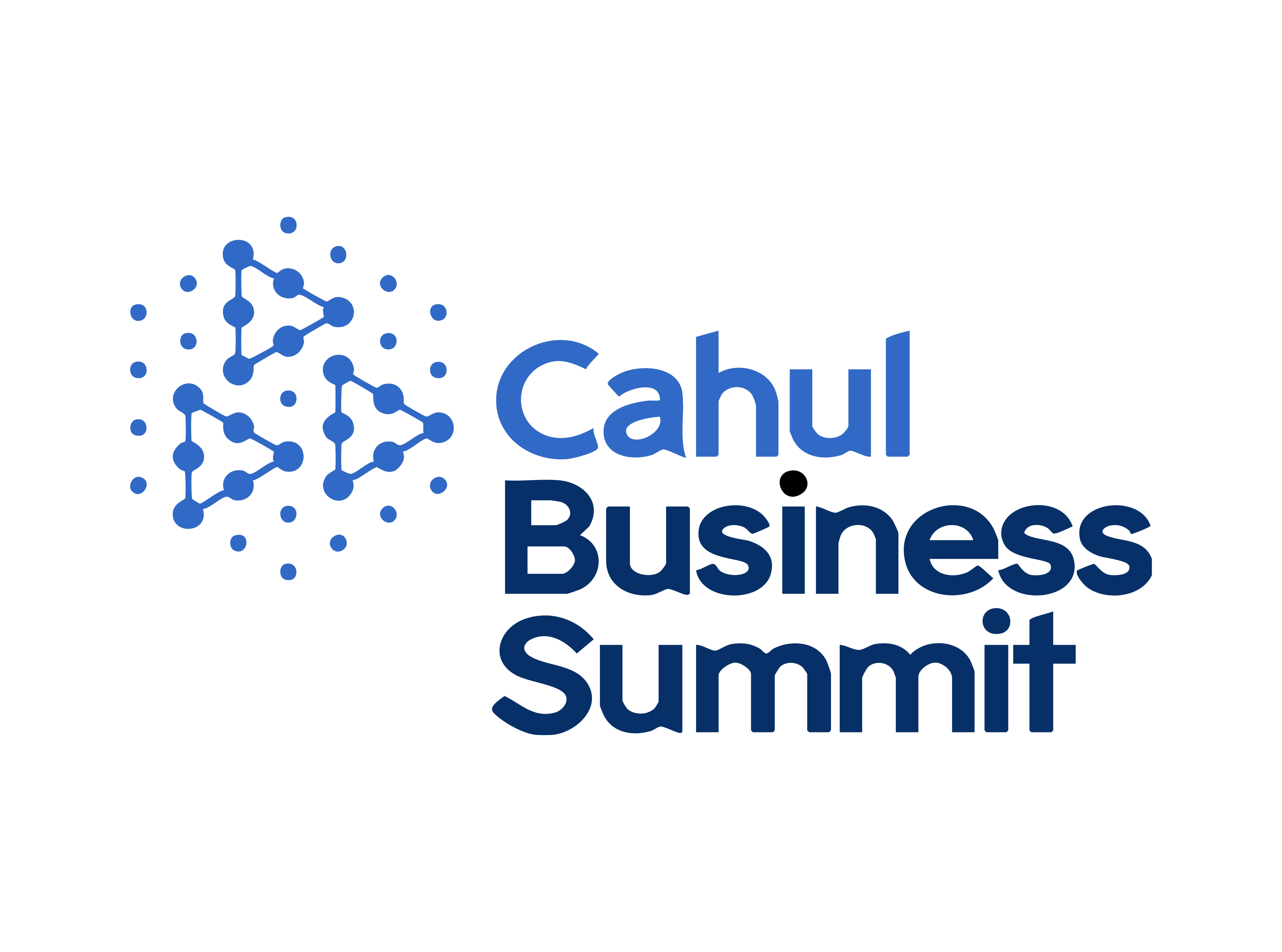 Cahul Business Summit logo